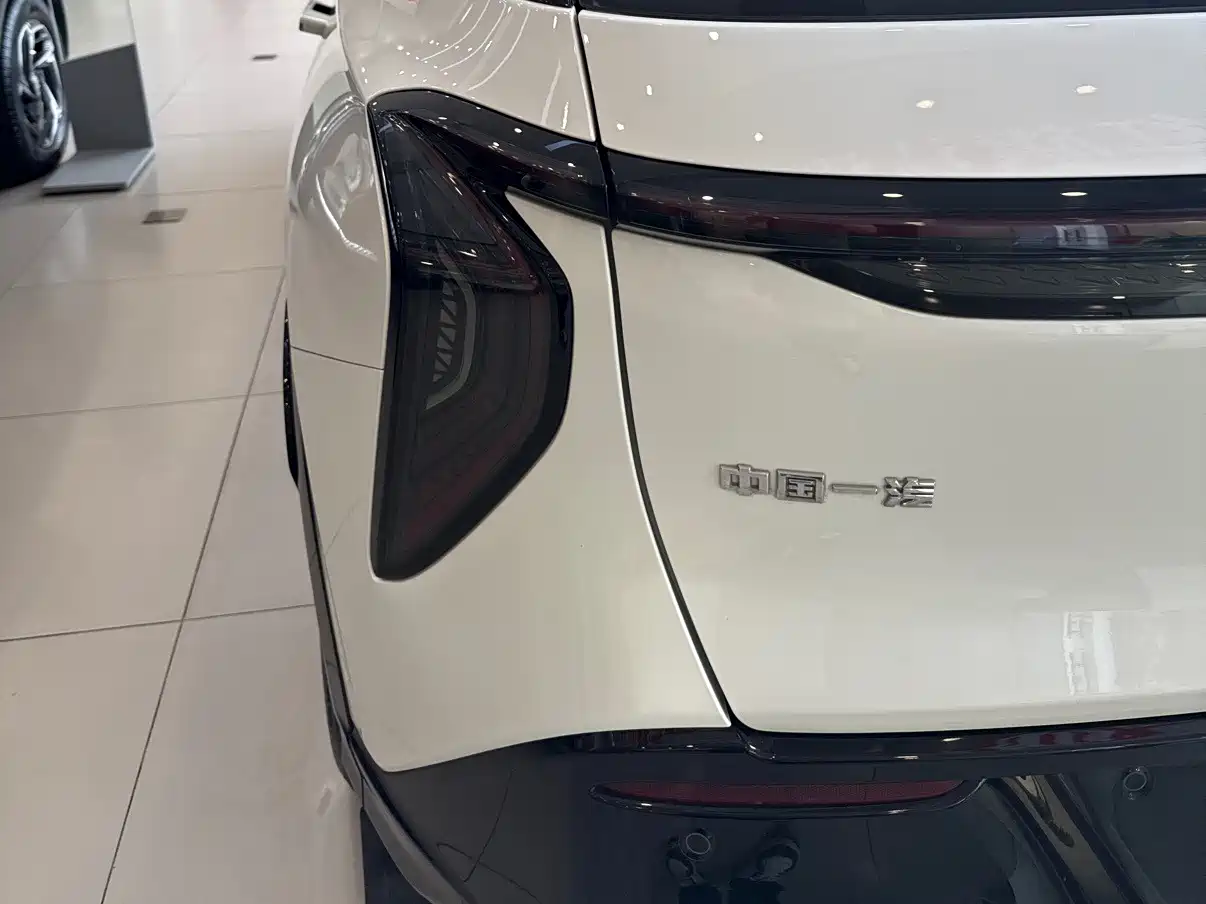 2025 Hongqi Tian Gong 08