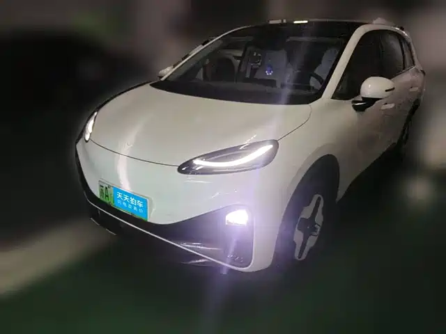  ARCFOX Arcfox Koala S 2024 PRO