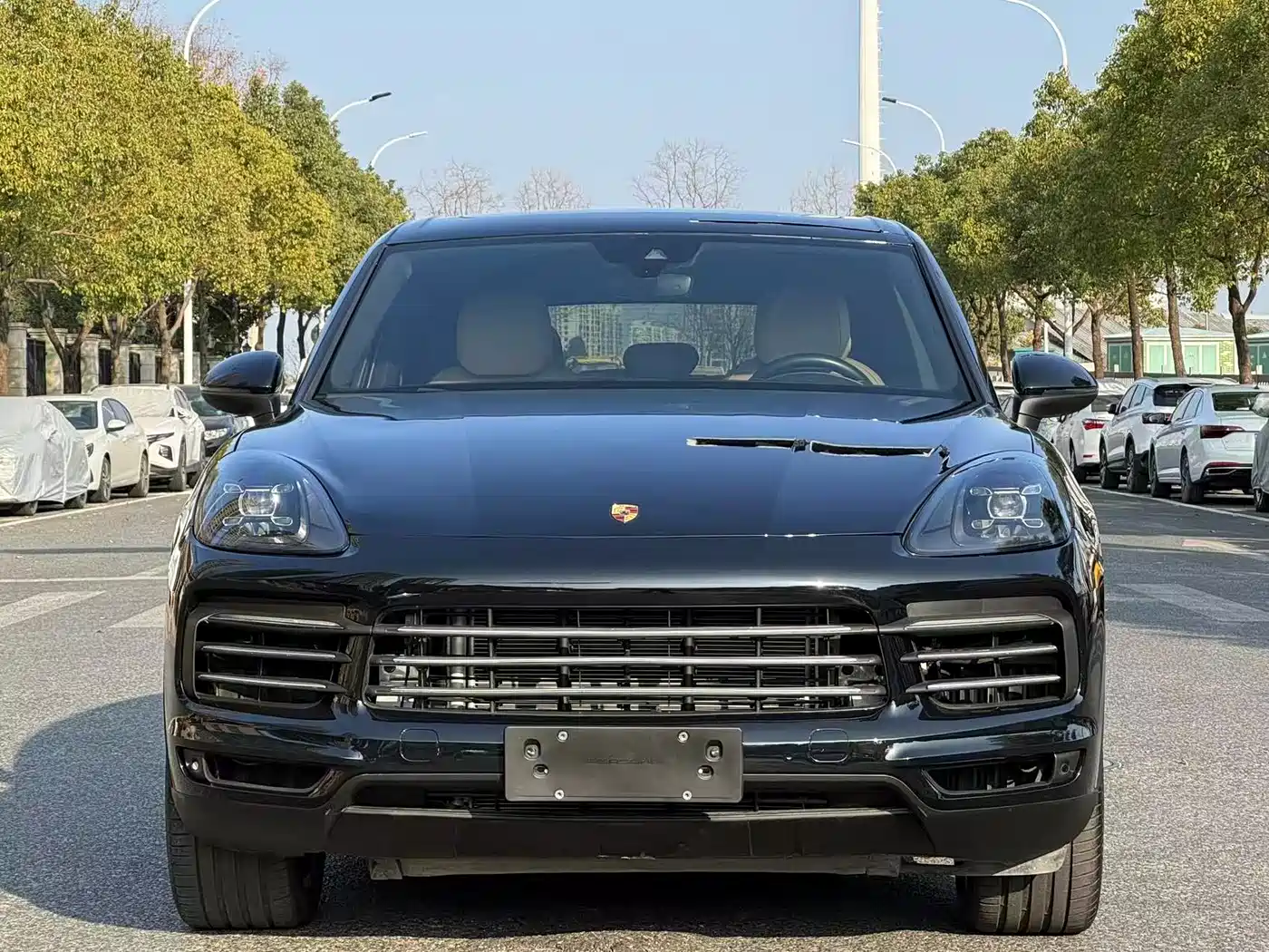 Porsche Cayenne 2018 Cayenne 3.0T фото 2