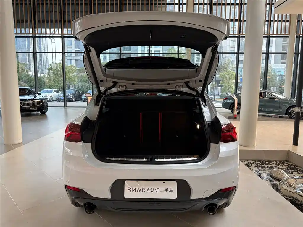 BMW X2
