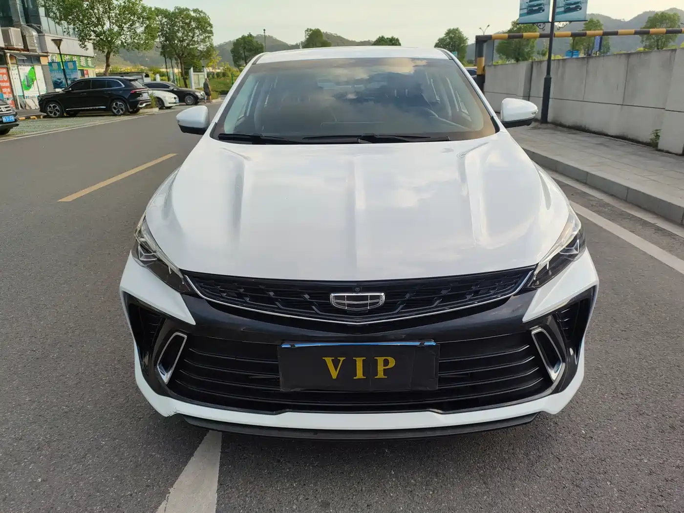 GEELY AUTOMOBILE BINRUI