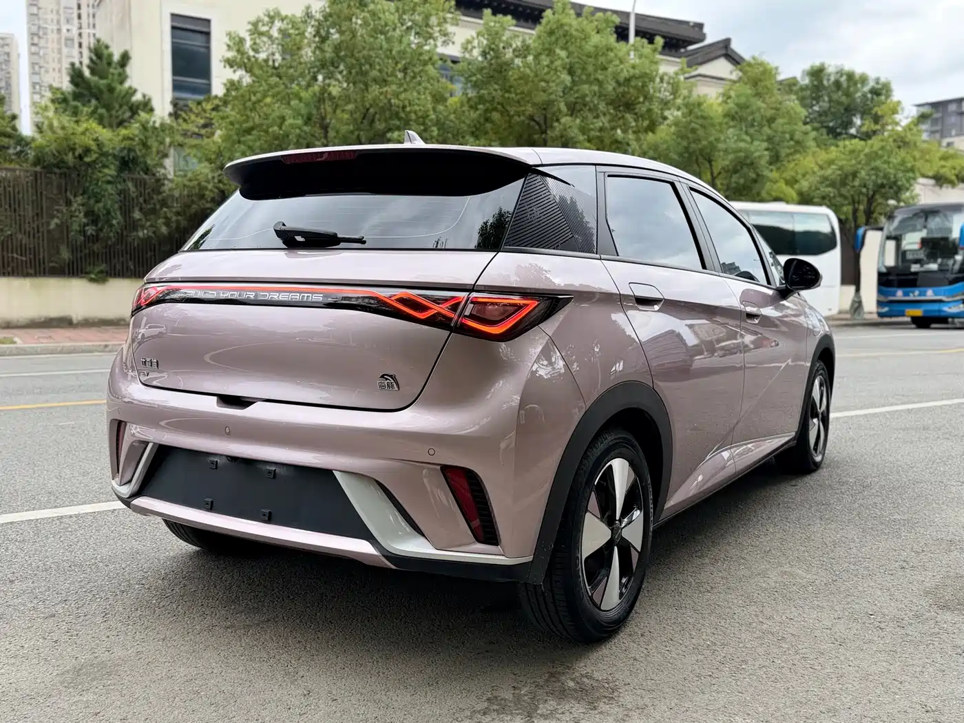 BYD Dolphin 2023 420km Fashion Edition фото 11