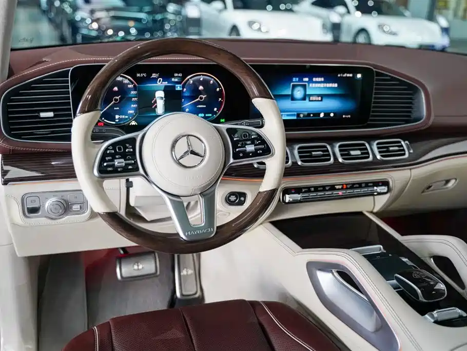 Mercedes-Benz Maybach GLS 2022 GLS 480 4MATIC фото 2