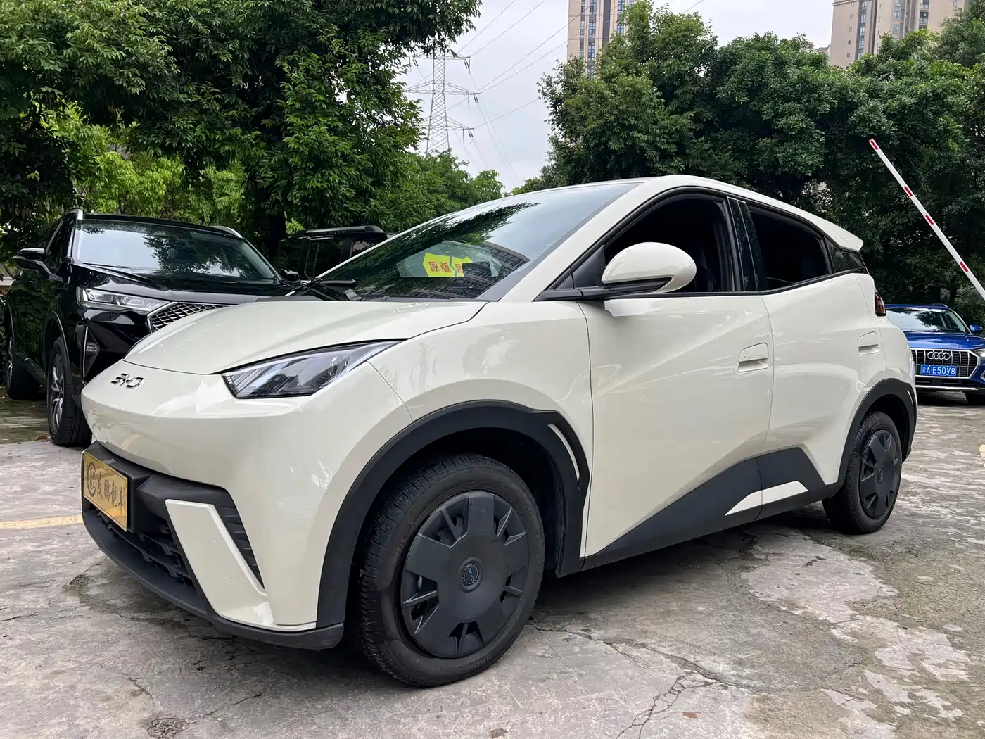 BYD Seagull 2024 Glory Edition 305km Vitality Edition