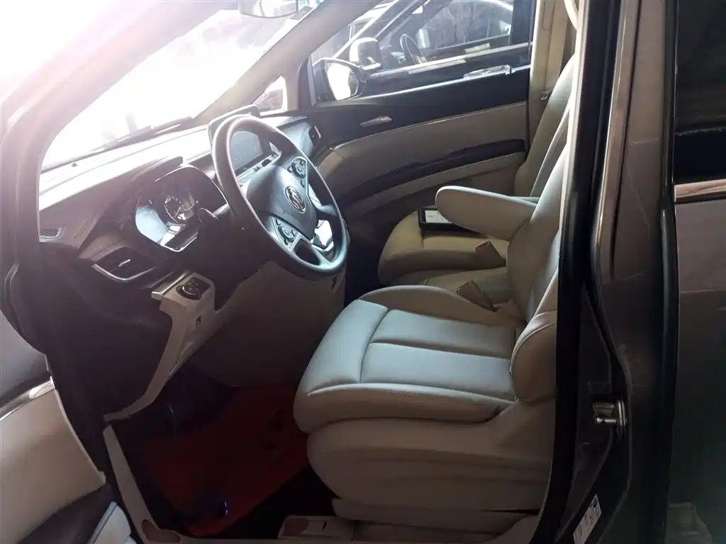 Buick GL8 2020 Model Land Business Class 652T Comfort фото 12