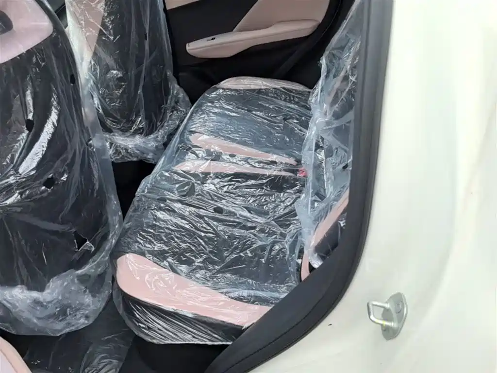 BYD Seagull 2025 Smart Drive Edition 305km Vitality Version фото 17