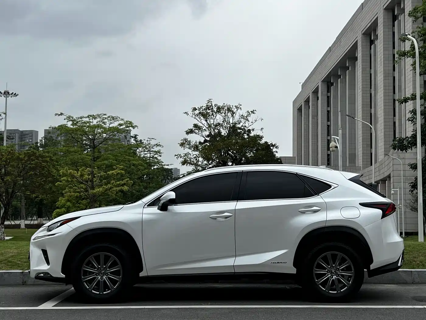 Lexus NX 2020 300h FWD F Sport China V фото 6