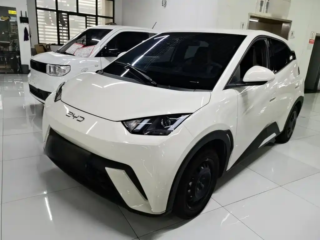 BYD Seagull 2024
