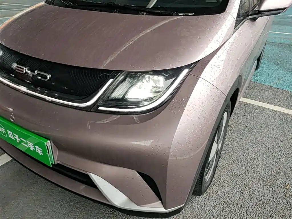 BYD Dolphin 2023 420km Freedom Edition фото 24