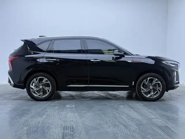 صورة 9 - Hongqi HS3 PHEV
