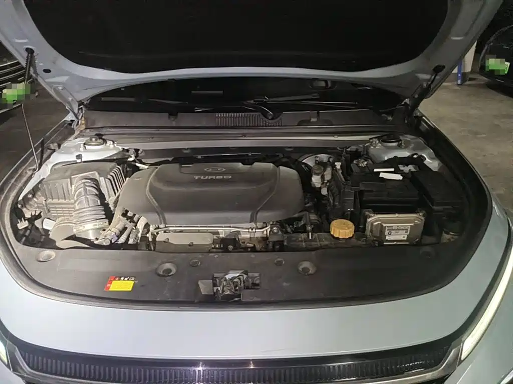 Baojun Valli 2021 2021 1.5T Yili Ranch CVT Luxury