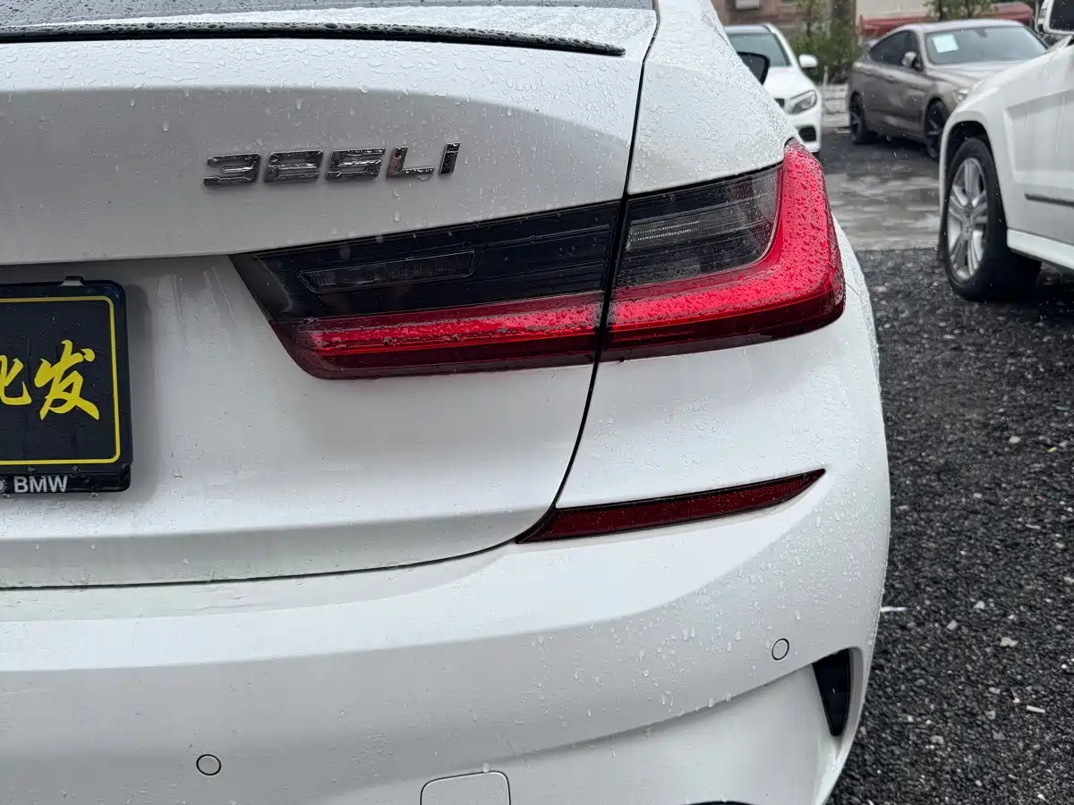 BMW 3 Series 2020 325Li M Sport Black Night Package фото 21