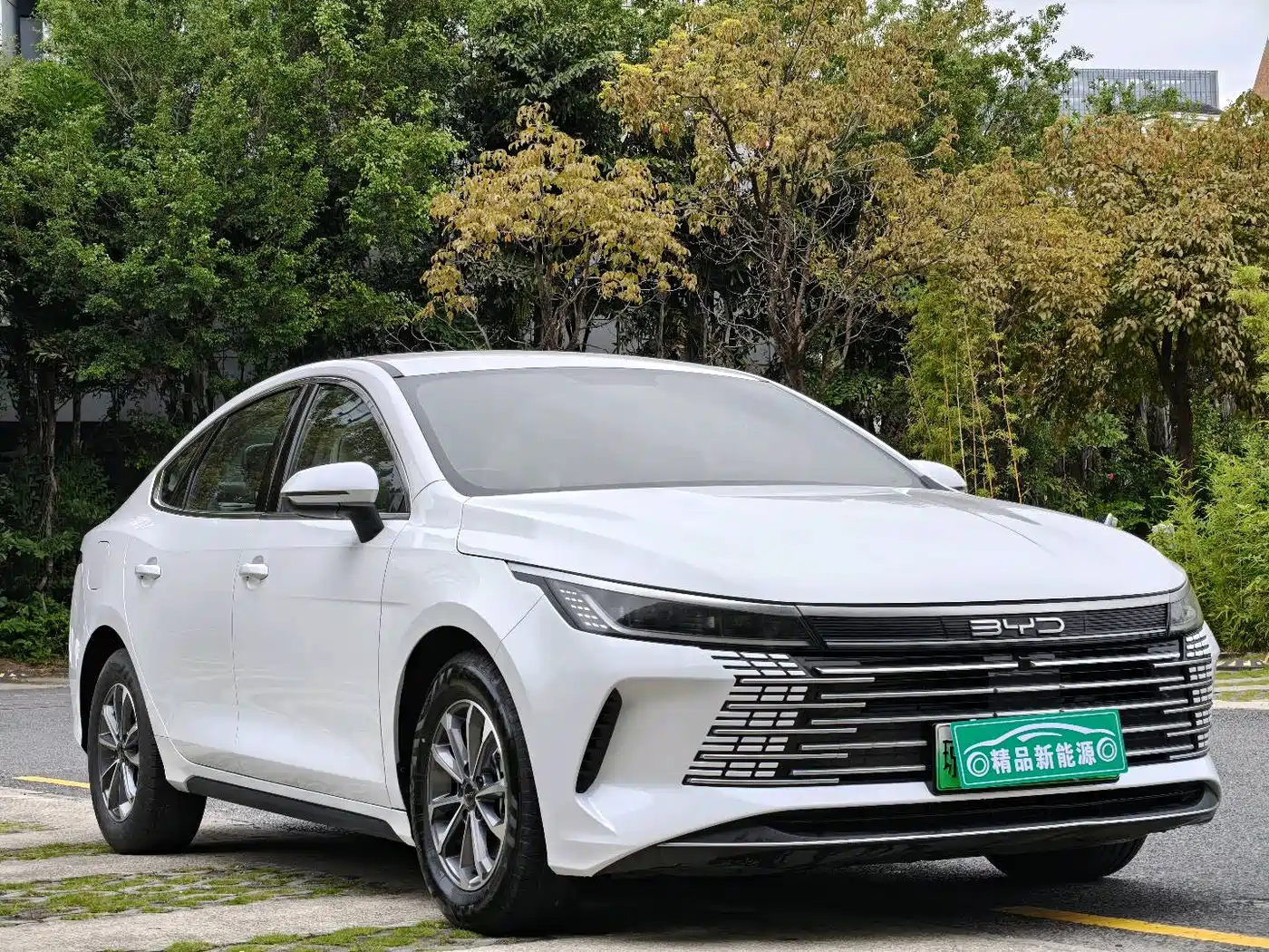 BYD Destroyer 05 2024 Glory Edition DM-i 55KM Luxury фото 3