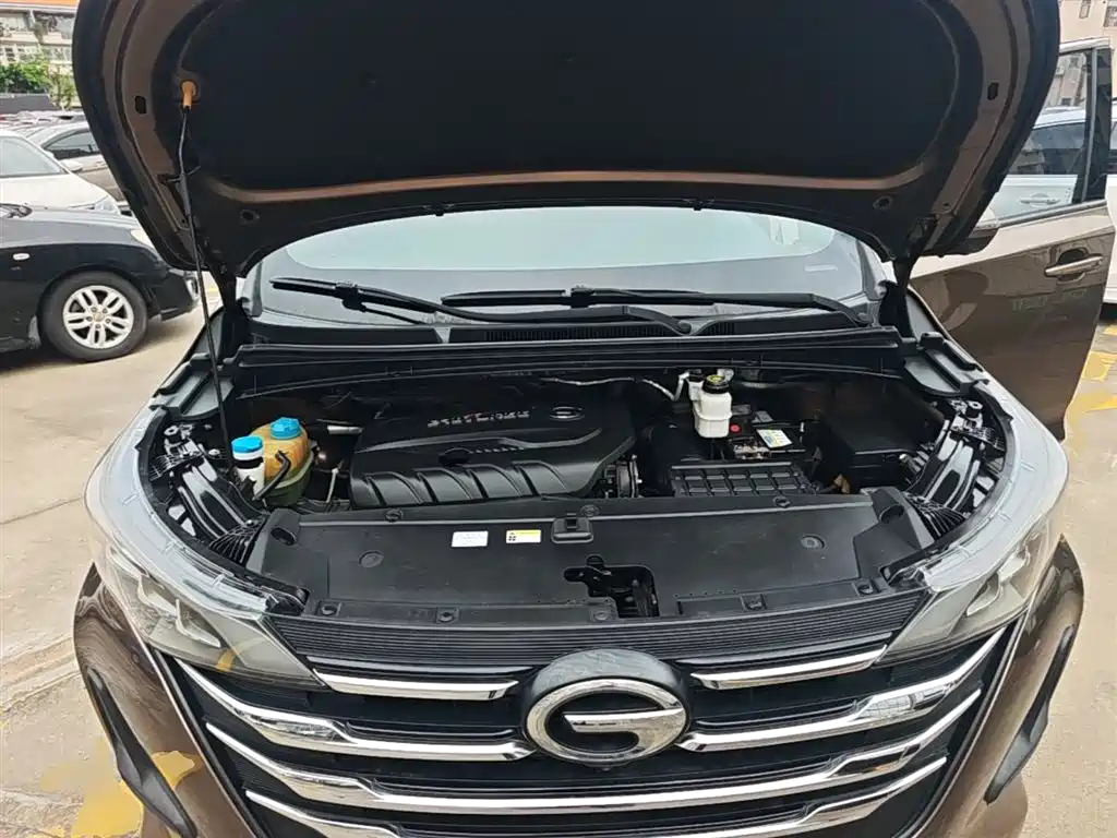 GAC Trumpchi Trumpchi M6 2019 270T Automatic Premium (7-seater) China V фото 20