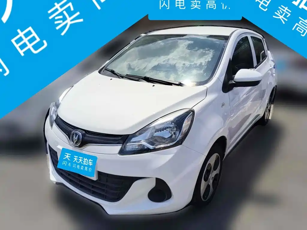 Changan Benben E-Star 2021 National Edition Heartjoy LFP (31.95kWh)