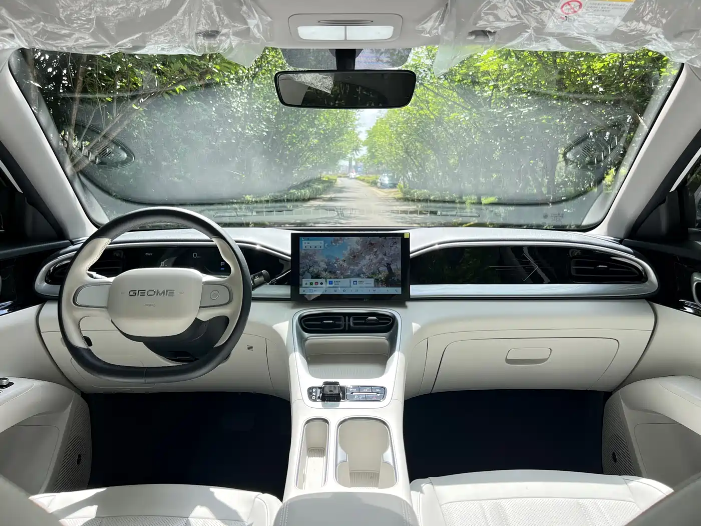 Geely Galaxy Starry Wish 2025 310km Youth Edition фото 19
