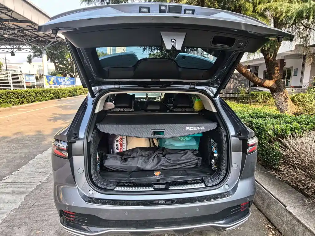 Фото 4 - Roewe RX5