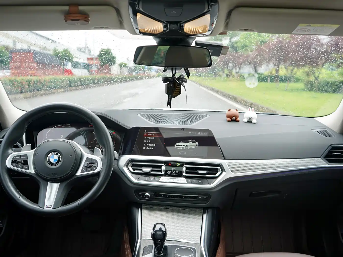 BMW 3 Series 2021 325Li M Sport Night Edition фото 10