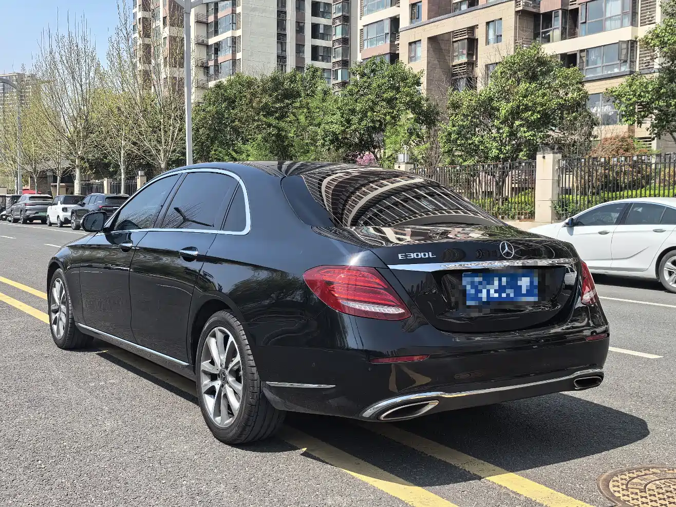 Mercedes-Benz E-Class 2018 Facelift E 300 L Luxury фото 6