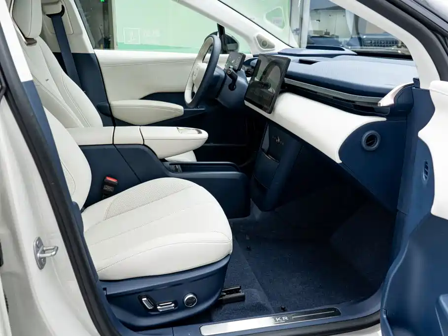ZEEKR X 2024 2025 5-Seater Long Range Edition
