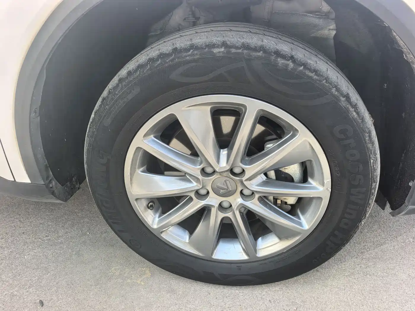 LIFAN MOTORS LIFAN MAPLE LEAF 80V