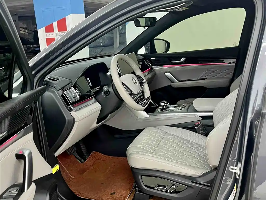 BYD Tang New Energy 2025 DM-i 115KM Prestige Type фото 14