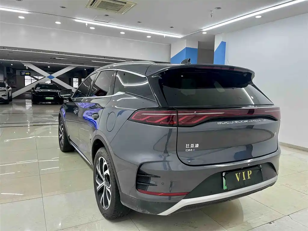 BYD Tang New Energy 2025 DM-i 115KM Prestige Type фото 6