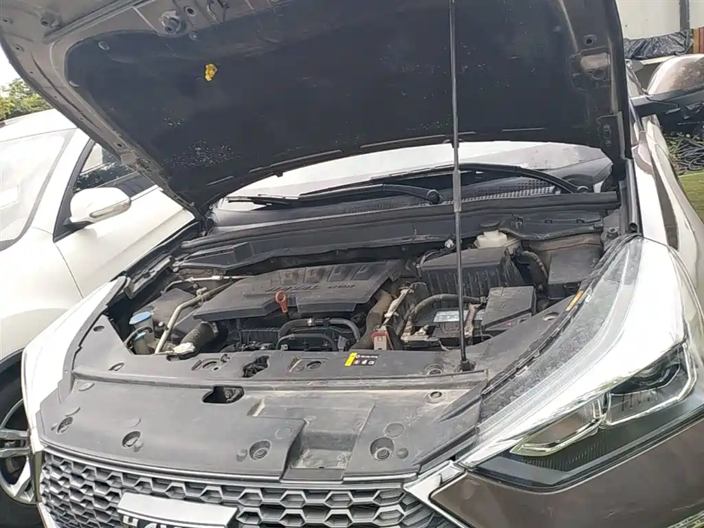 Haval H6 Coupe 2019 1.5T Auto 2WD Luxury Smart Edition China VI фото 20