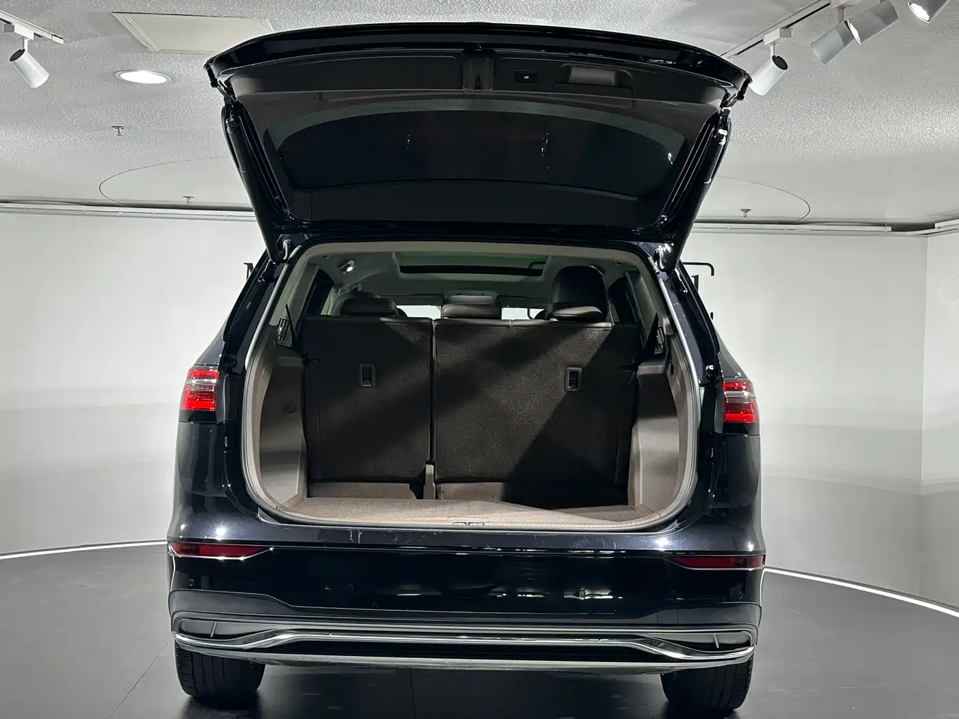 Volkswagen Viloran 2022 380TSI Premium Edition фото 15