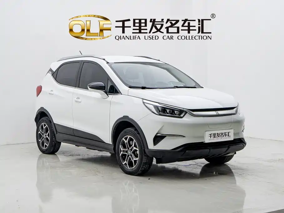 BYD Yuan Pro 2021 2021 401KM Luxury Model