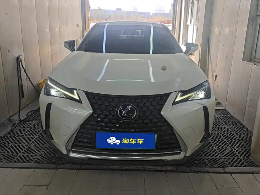 2022 Lexus UX Electric