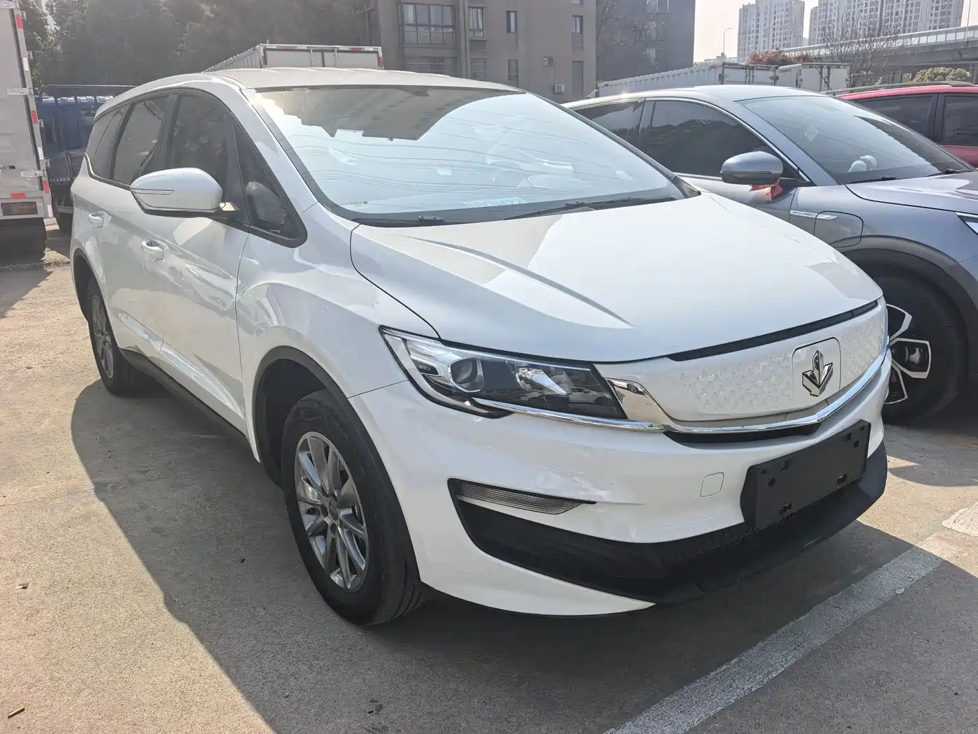 LIFAN MOTORS LIFAN MAPLE LEAF 80V