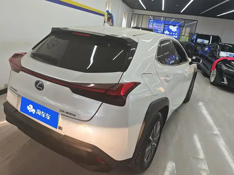 2022 Lexus UX Electric