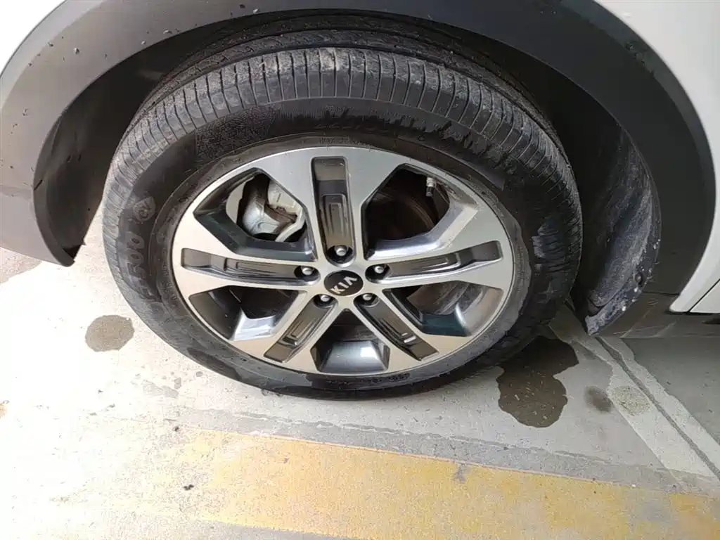 Kia Sportage 2019 2.0L Automatic Smart Luxury Edition фото 23