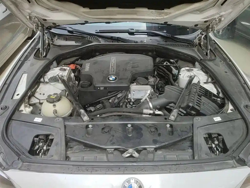 BMW 5 Series (Import) 2015 520i Elegance фото 20
