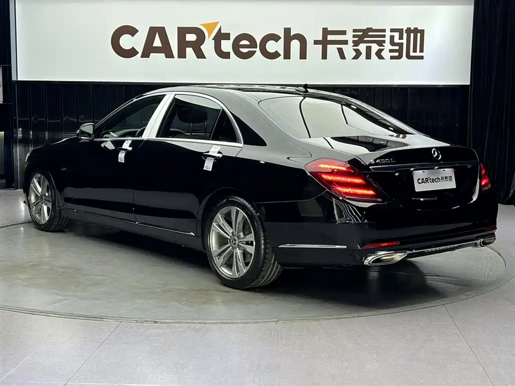 Mercedes-Benz S-Class 2020 S 450 L 4MATIC Collector's Version фото 7