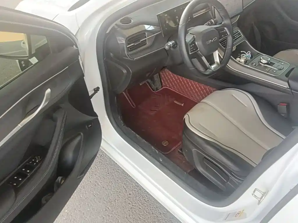 BYD Destroyer 05 2025 2024 Glory Edition DM-i 55KM Luxury