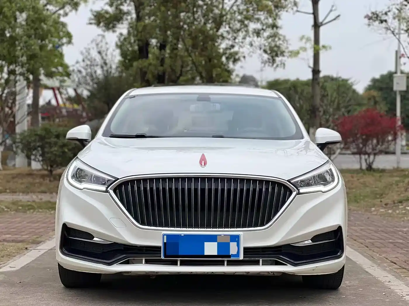 Hongqi H5 2019 30TD Style Edition фото 3