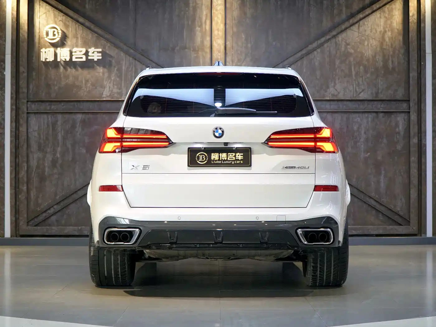 BMW X5 2023 xDrive 40Li M Sport Black Night Package фото 3