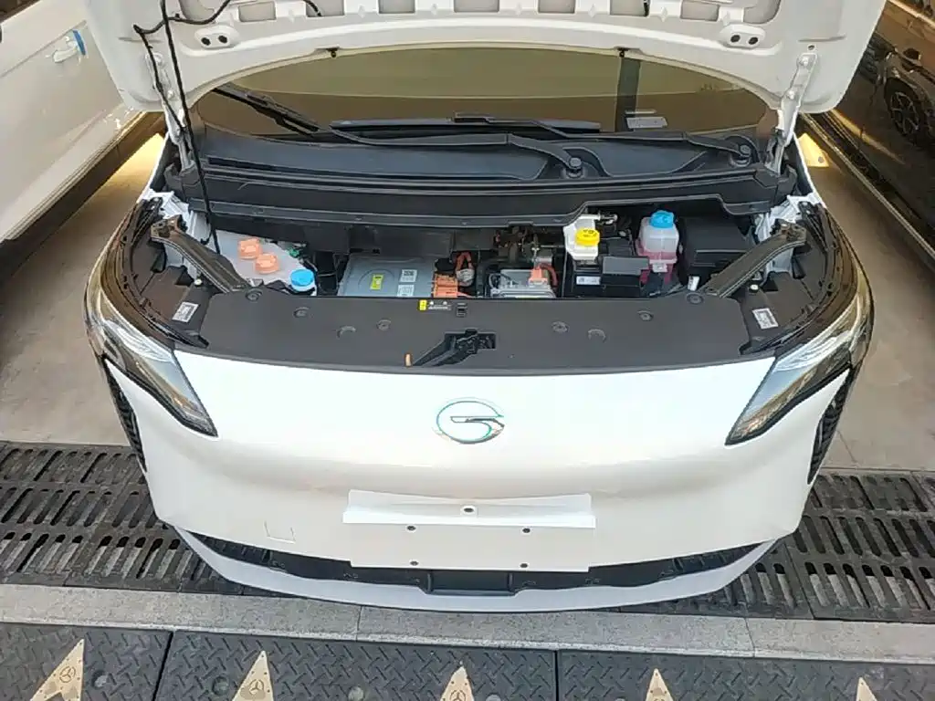 Aion Y 2025 2024 Plus 510 Smart Driving Edition
