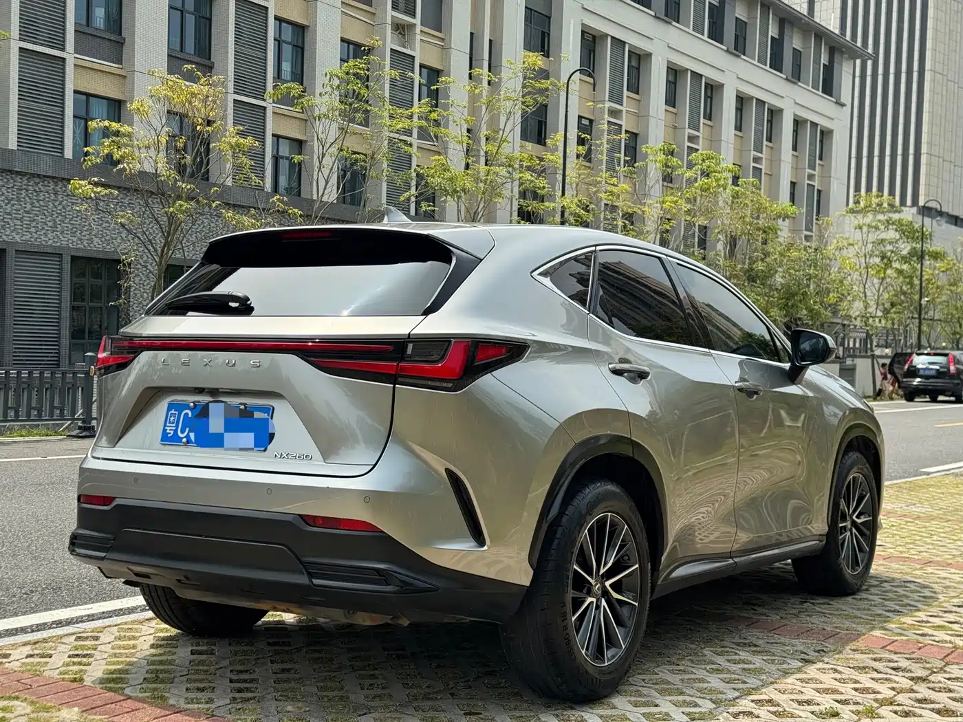 صورة 9 - Lexus NX