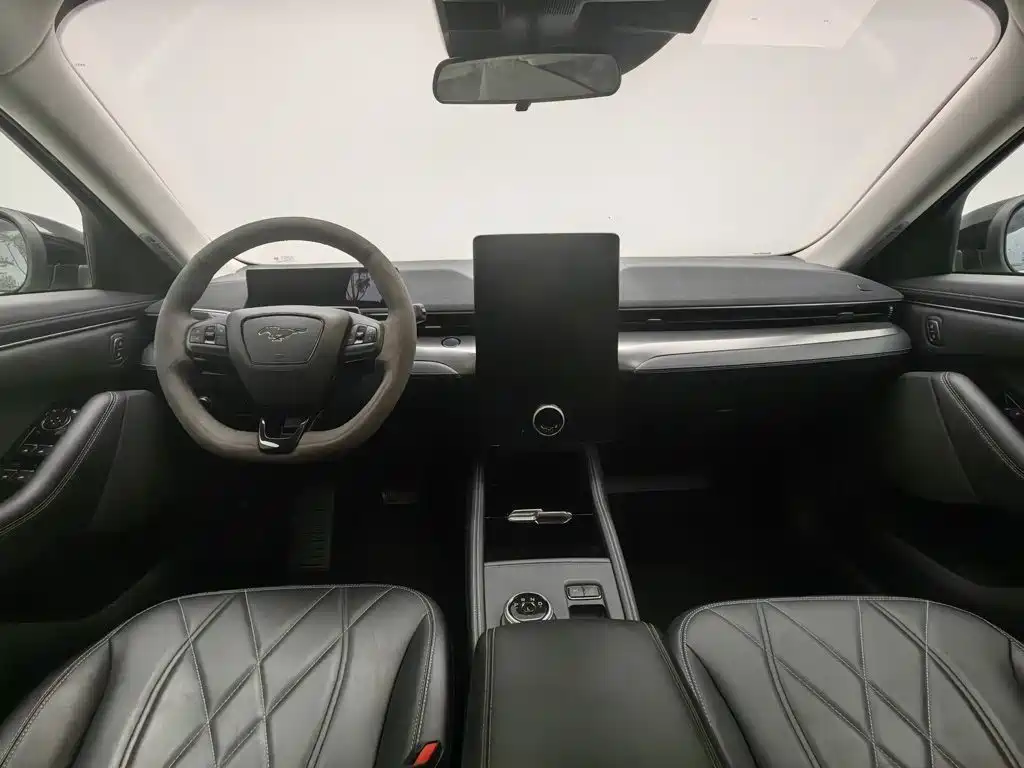 Ford Mustang Mach-E 2022 2021 Leap World RWD (Standard Range)