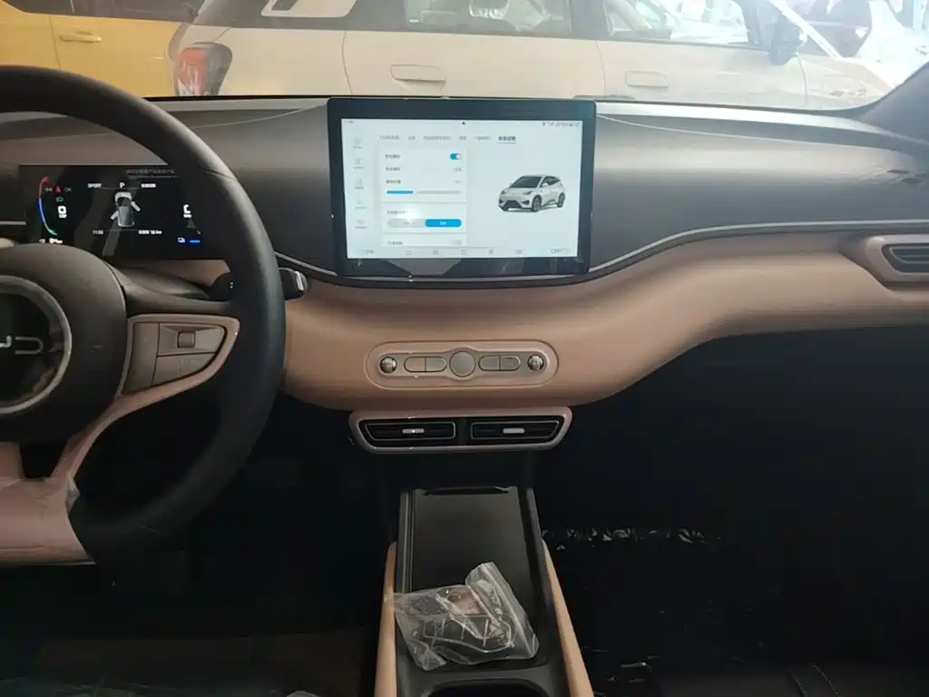 BYD Seagull 2026 2025 Smart Drive Edition 305km Vitality Version