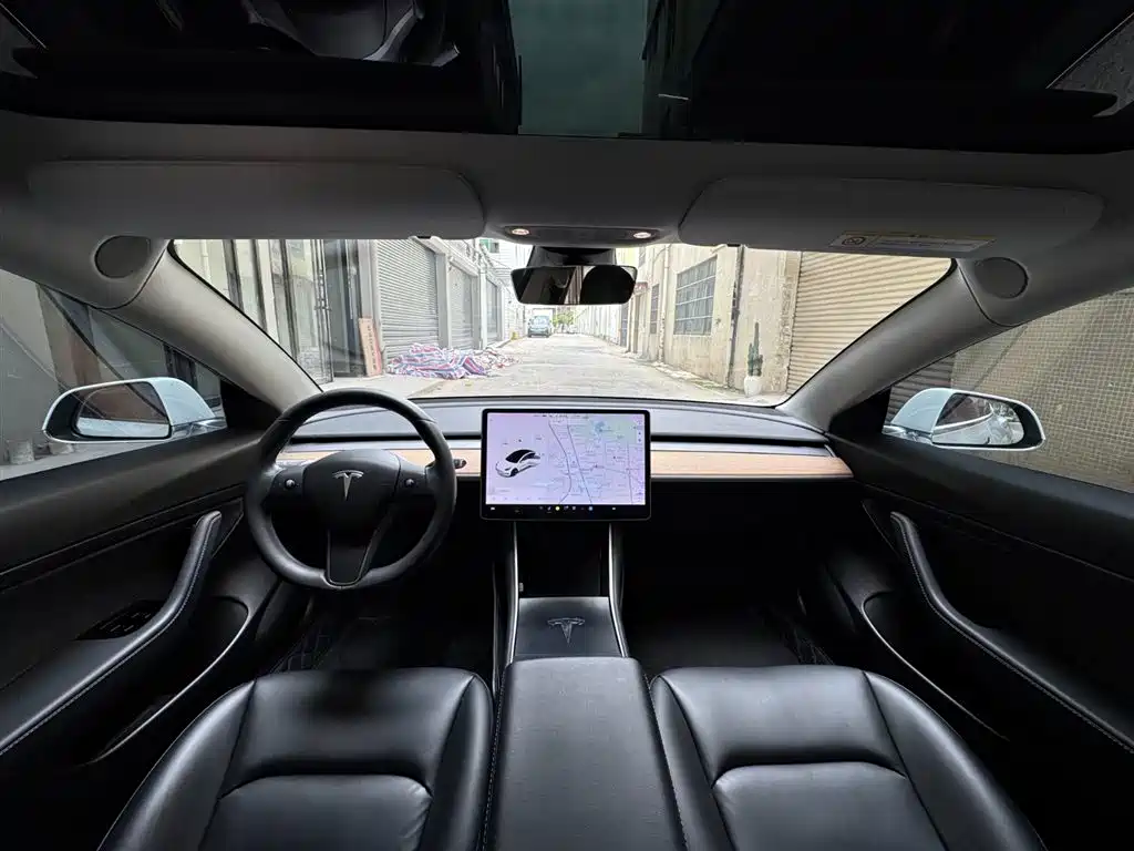 Tesla Model 3 2019 Standard Range Rear-Wheel Drive Upgrade фото 6