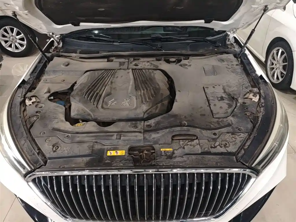 Hongqi H5 2018 30TD Dynamic Edition фото 20
