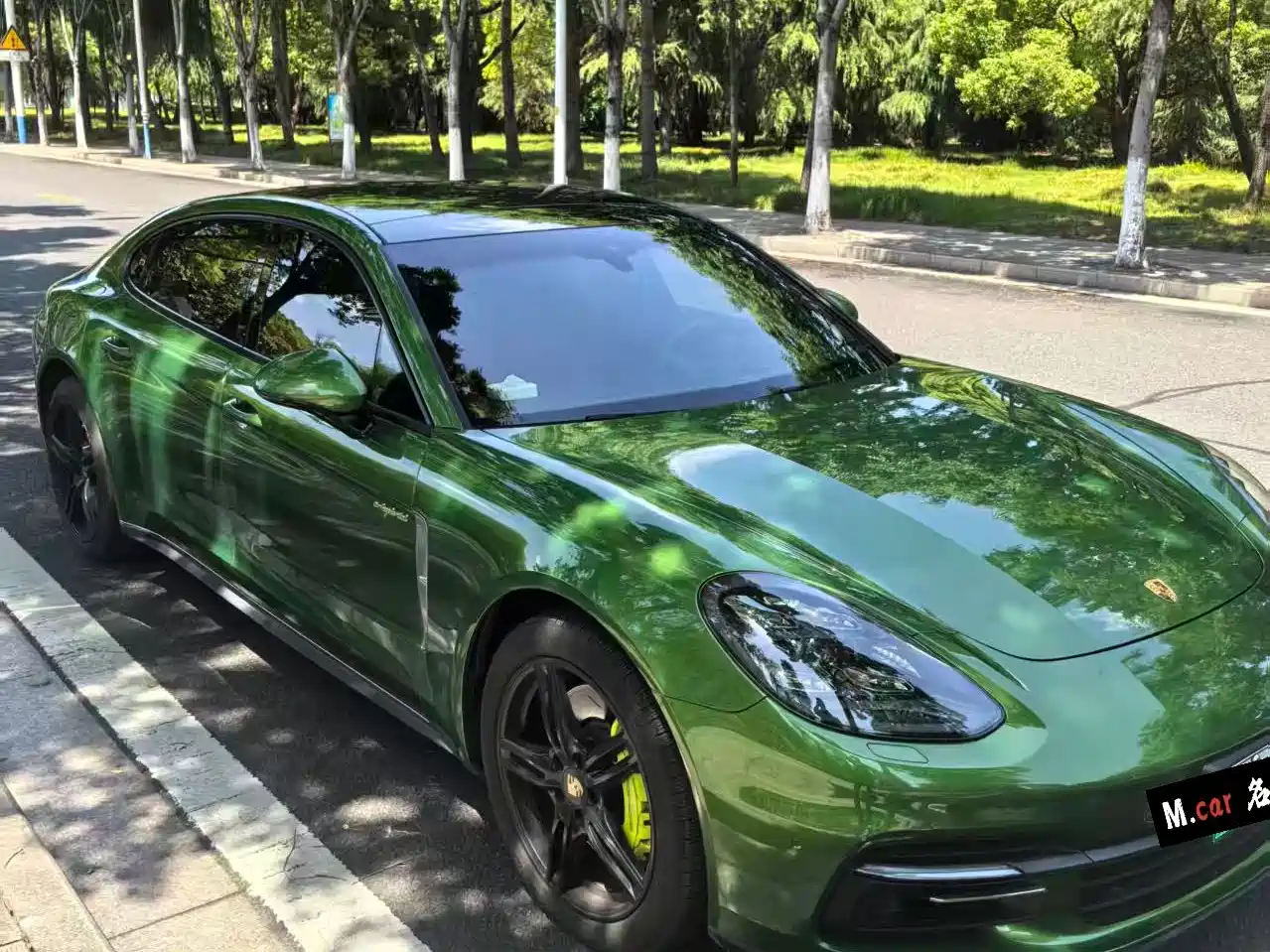 Porsche Panamera New Energy 2018 Panamera 4 E-Hybrid 2.9T