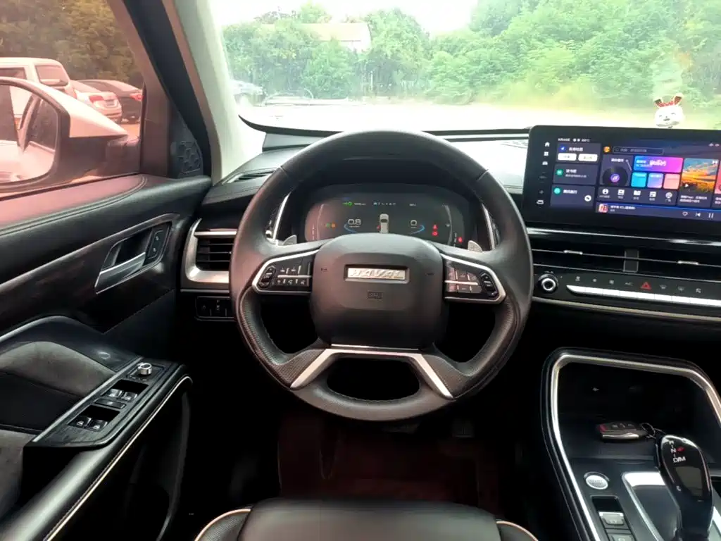 Фото 11 - Haval H6