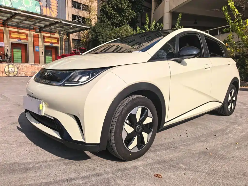 Фото 8 - BYD Dolphin