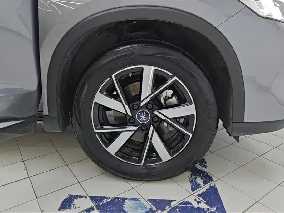 BYD Song Pro New Energy 2025 2024 Glory Edition DM-i 71KM Pilot