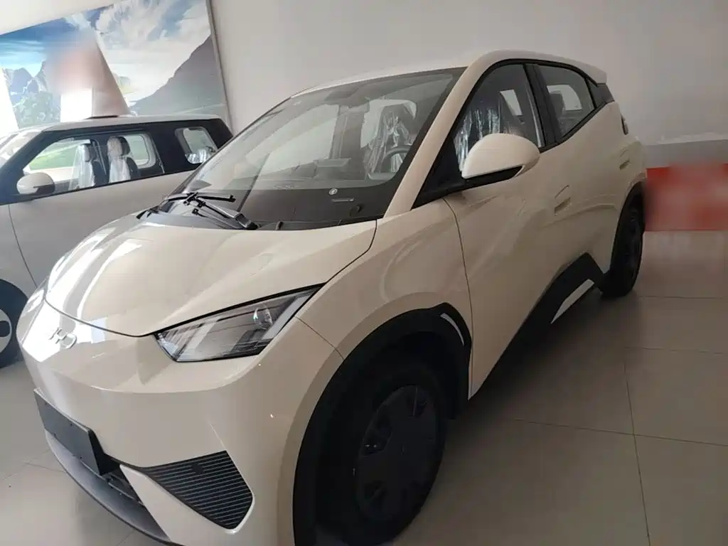 BYD Seagull 2026 2025 Smart Drive Edition 305km Vitality Version